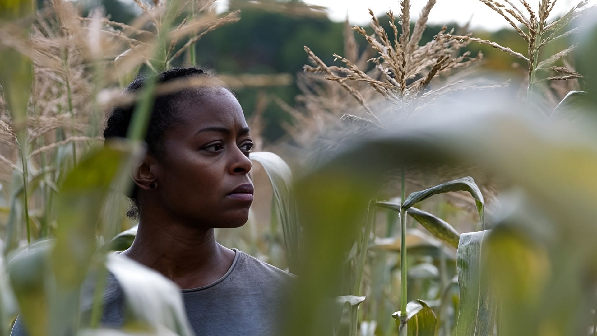 Hailey surveys the fields in 40 Acres, where land is more than property—it’s history, legacy, and battleground (Image via Magnolia Studios)